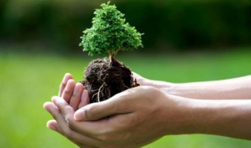 Greenwashing-
